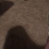 aaronlee9